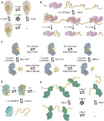 Redefining Molecular Chaperones as Chaotropes